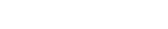 WhiteArk IT Solutions